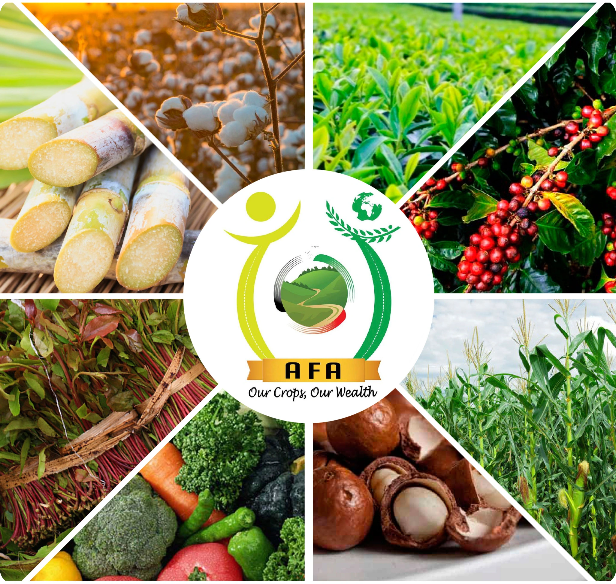 Agricultural and food authority